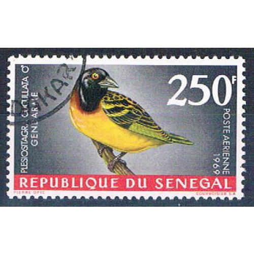Senegal C55 Used Bird Village Weaver ul 1969 CV 1.75 (S0819)+