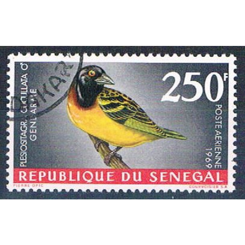 Senegal C55 Used Bird Village Weaver ul 1969 CV 1.75 (S0819)+