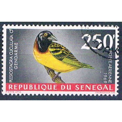Senegal C55 Used Bird Village Weaver ur 1969 CV 1.75 (S0821)+