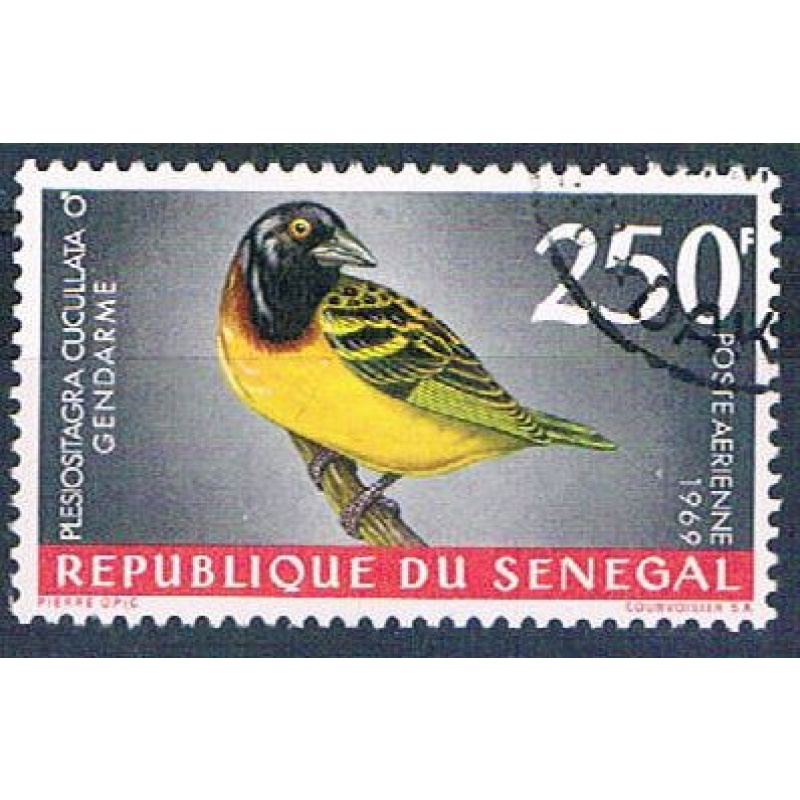 Senegal C55 Used Bird Village Weaver ur 1969 CV 1.75 (S0821)+