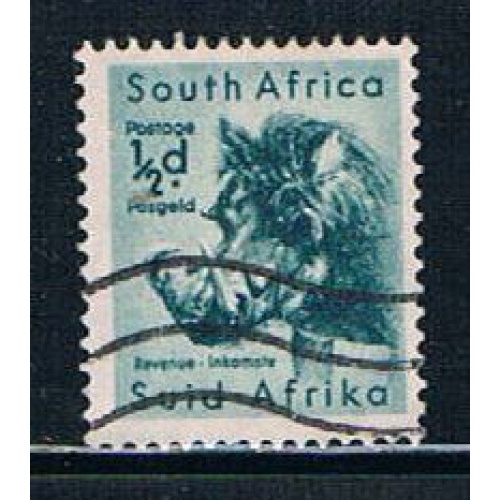 South Africa 200 Used Wart Hog (S0464)