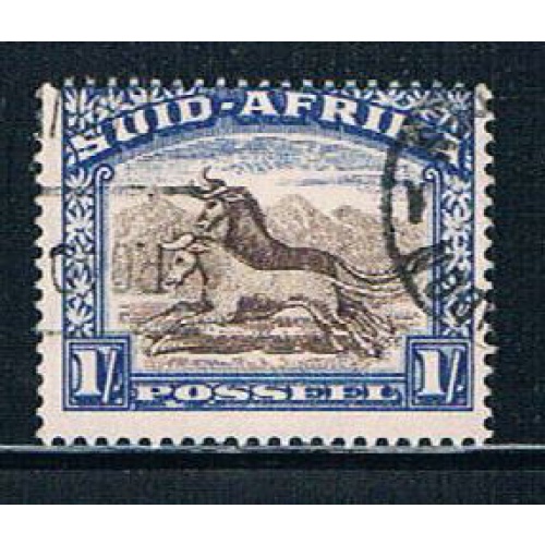 South Africa 62h Used Gnu (S0484)