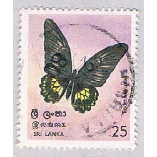 Sri Lanka 534 Used Butterfly 1978 (BP30925)