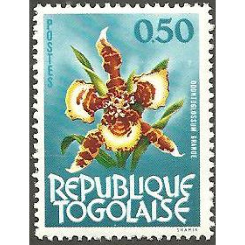 Togo 461 MLH Orchid CV 1.25 (GI0131)