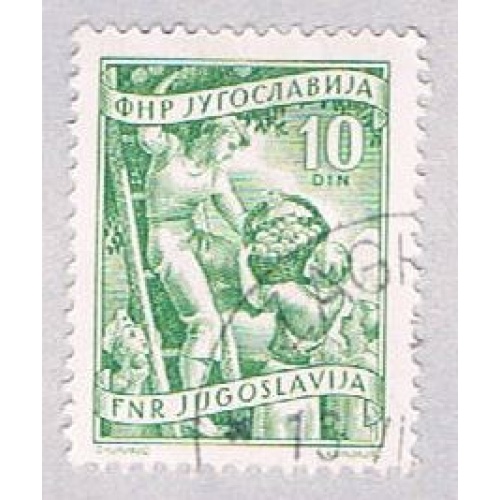 Yugoslavia 382 Used Fruit growing 1953 (BP28216)