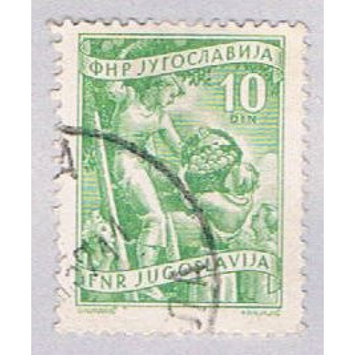 Yugoslavia 382 Used Fruit growing 1953 (BP28219)