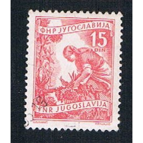 Yugoslavia 384 Used Gathering Sunflowers (BP16026)