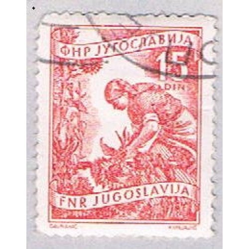 Yugoslavia 384 Used Gathering sun flowers 1953 (BP28228)