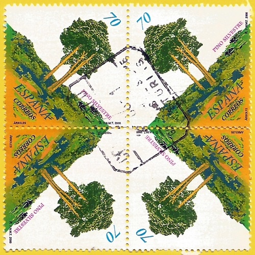 España. 2000. Trees. Scots Pine