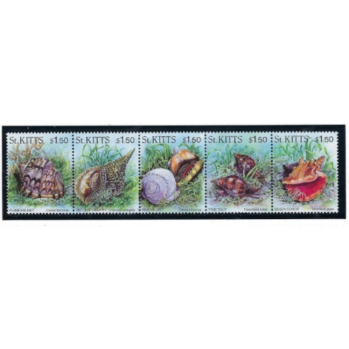 St Kitts 406 MNH 1996 Sea Shells strip of 5 (ad1620)