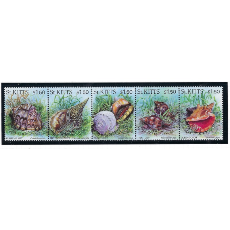 St Kitts 406 MNH 1996 Sea Shells strip of 5 (ad1620)