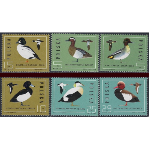 Poland 2698-2703 MNH 1985 Ducks (ak6328)