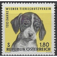 Austria 763 MNH 1966 Puppy (ak8104)