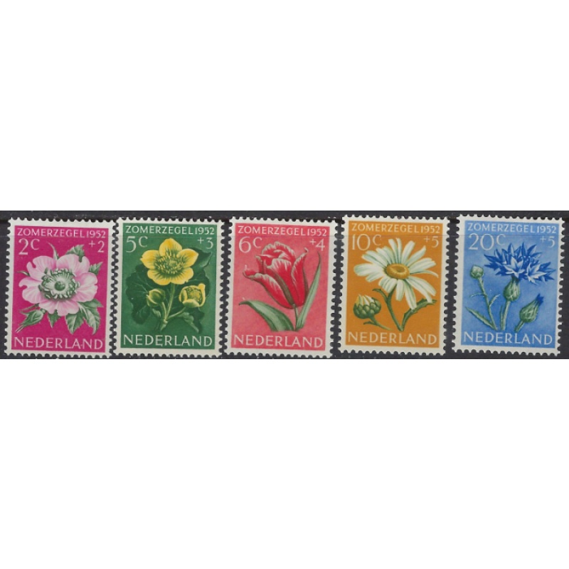 Netherlands B238-42 MH 1932 set (ak8439)