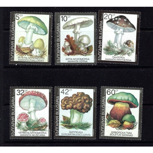 Bulgaria 3597-3602 MNH 1991 Mushrooms (an9400)