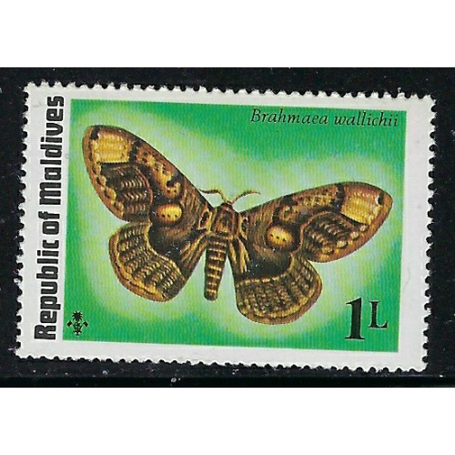 Maldives 584 MNH 1975 issue (fe1963)