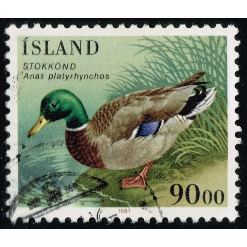 Iceland #645 Mallard Duck; Used |ICE0645-17