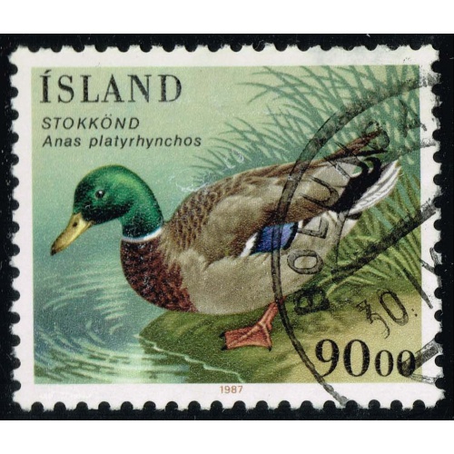 Iceland #645 Mallard Duck; Used |ICE0645-19