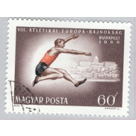 Hungary  Used Sports high jumper brown 60   (BP85408)