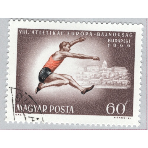 Hungary  Used Sports high jumper brown 60   (BP85408)