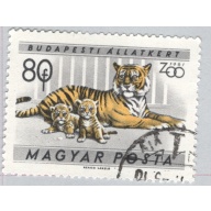 Hungary  Used Tiger and Cubs Gray 80   (BP85410)