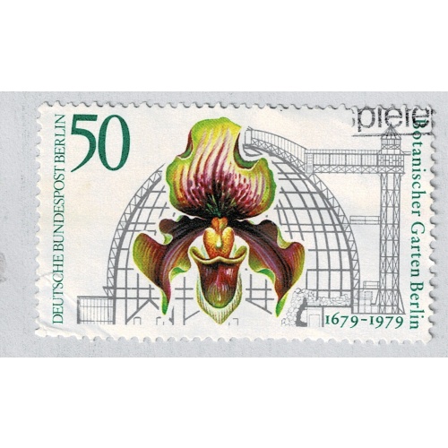 Germany Berlin  Flower orchid multi colored 50 Unused (BP86802)