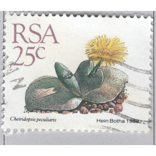 South Africa  Used Flower yellow 25   (BP86925)