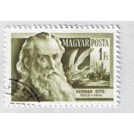 Hungary  Used Herman Otto green 1  (BP87609)
