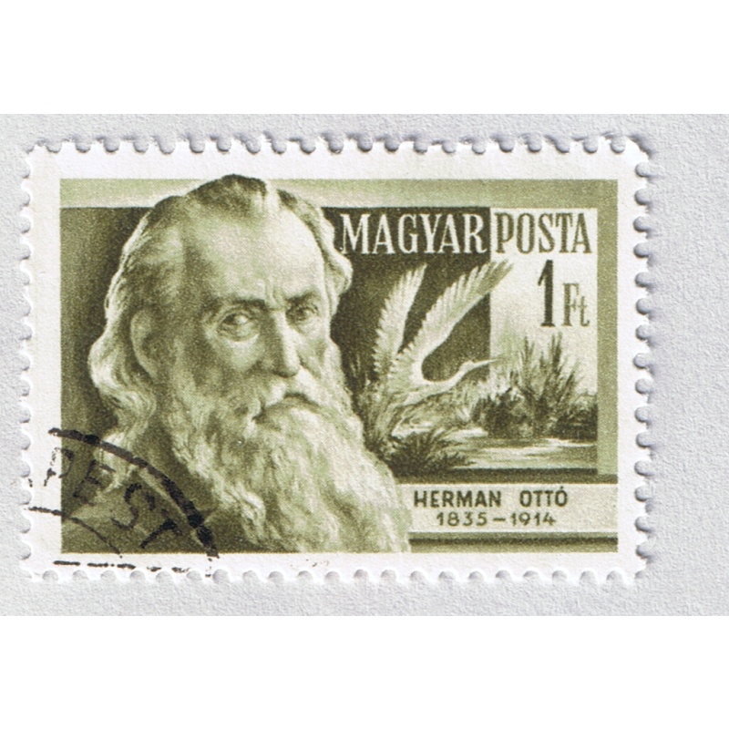 Hungary  Used Herman Otto green 1  (BP87609)