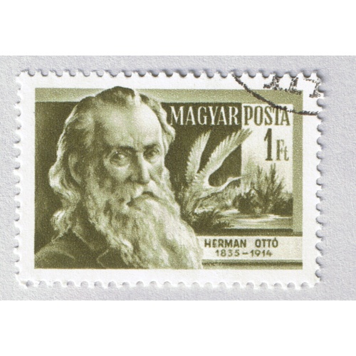 Hungary  Used Herman Otto green 1  (BP87610)