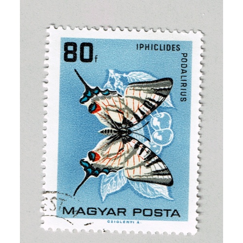 Hungary Used Butterfly blue 80  (BP88006)