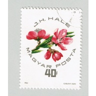 Hungary Used Flower red and white 40  (BP88008)