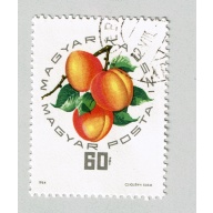 Hungary Used Peaches yellow 60  (BP88009)