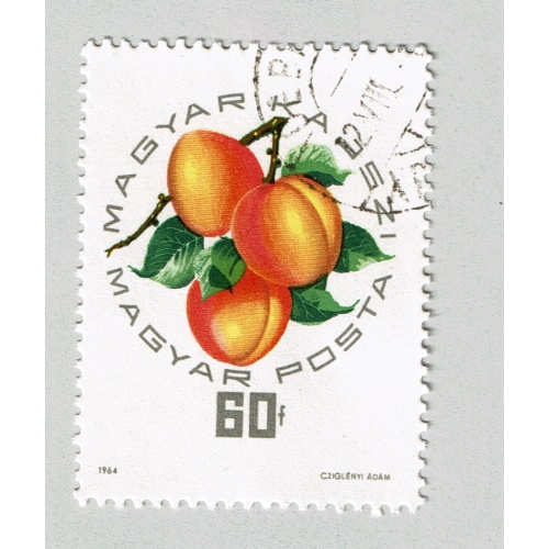 Hungary Used Peaches yellow 60  (BP88009)