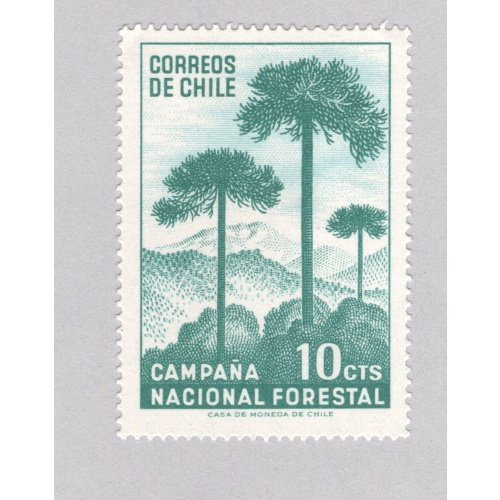 Rwanda  Unused Campana National Forest   (BP88312)