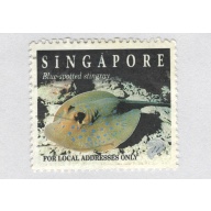 Singapore  Used Triggerfish brown   (BP88620)