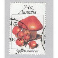 Australia Used Mushrooms toadstools brown 24   (BP88907)
