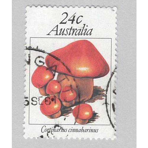 Australia Used Mushrooms toadstools brown 24   (BP88907)