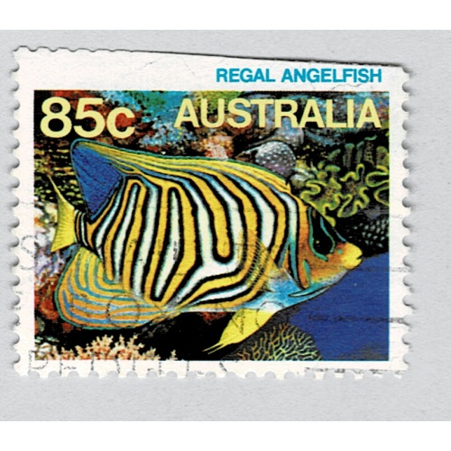 Australia Regal angelfish multi 85  Used (BP89321)