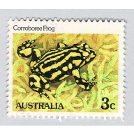 Australia Frog yellow 3  Used (BP89326)