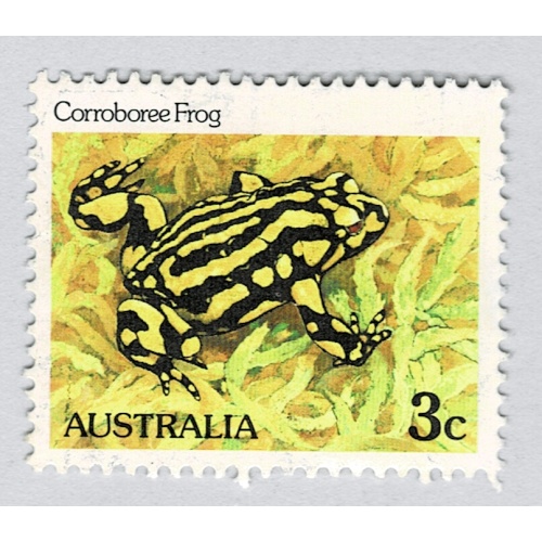 Australia Frog yellow 3  Used (BP89326)