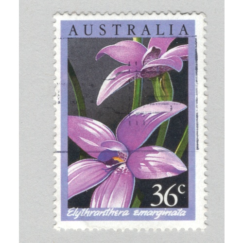 Australia Orchid flower pink Used (BP89601)
