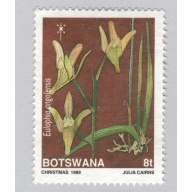 Botswana Orchids brown Used (BP89606)