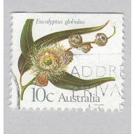 Australia Flower globulus 10  Used (BP90018)