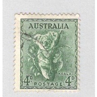 Australia Tiger cat brown 8  Used (BP90031)