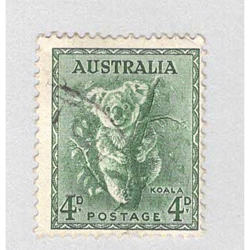 Australia Tiger cat brown 8  Used (BP90031)
