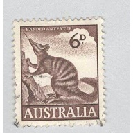 Australia Banded anteater brown 6  Used (BP90035)