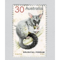 Australia Possum white 30  Used (BP90224)
