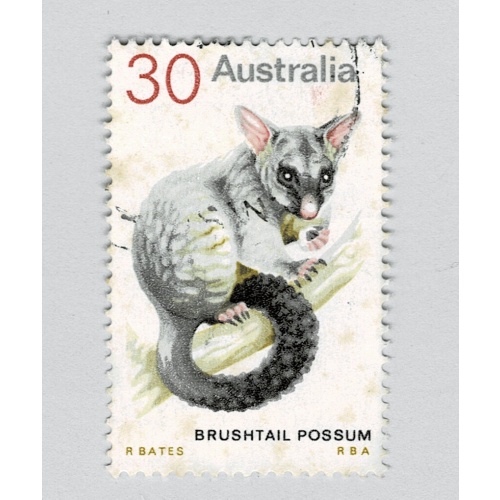 Australia Possum white 30  Used (BP90224)