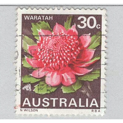 Australia Flower waratah red 30  Used (BP90312)